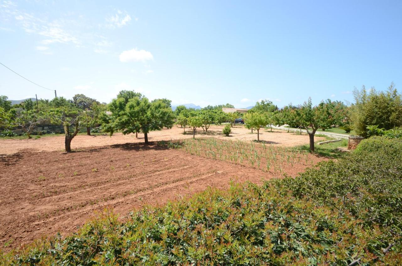 Villa Can Pau, Pool And Garden Close To The Beach Port de Alcudia  Екстер'єр фото